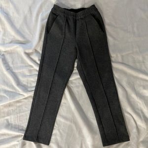 Aritzia the Group by Babaton Pant XXS